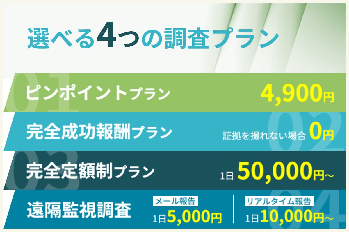 選べる4つの調査プラン